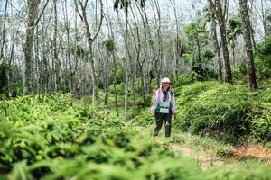 BIB: 
                            <button type="button" onclick="openModal(26361650)" class="btn btn-primary btn-sm float-right btn-popup" data-toggle="modal" data-target=".modal-high-quality">
                        <i class="fas fa-shopping-cart"></i> Add to Cart
                    </button>
                                            <button type="button" onclick="isThisMe(26361650, true)" class="btn btn-success btn-sm float-right btn-popup btn-isme hidden" data-toggle="tooltip" data-placement="bottom" title="นี่คือรูปของคุณใช่ไหม คลิกที่นี่เพื่อเอาเข้าอัลบั้ม">
                        <i class="fas fa-plus"></i> Add to album
                    </button>
                    <button type="button" onclick="isThisMe(26361650, false)" class="btn btn-warning btn-sm float-right btn-popup btn-isnotme hidden">
                        <i class="fas fa-ban"></i> Remove from album
                    </button>